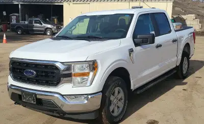 2021 Ford F150 XLT